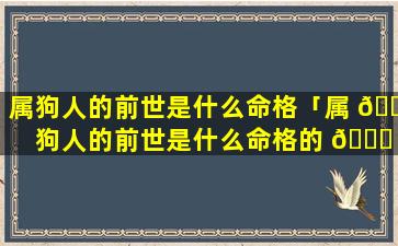 属狗人的前世是什么命格「属 🌿 狗人的前世是什么命格的 🐅 人」